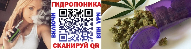 Купить закладки  Люберцы  Канабис семена 